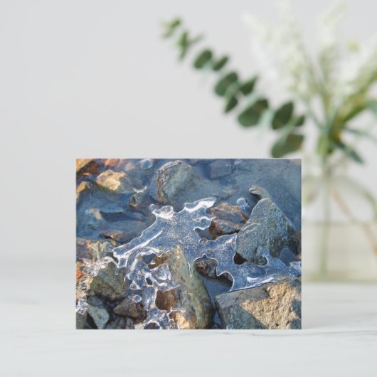 Detail der gefrorenen Ufer, Eis, Stein, Sand, Wass Postkarte (Stehend Vorderseite)