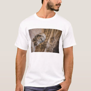 Detail der Kreuzgangsstatue des Patriarchen Sachar T-Shirt