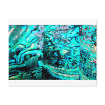 Detail der Muschel: Türkis abalone paua