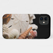 Detail der Muscheln aus aller Welt Case-Mate iPhone Hülle (Rückseite (Horizontal))