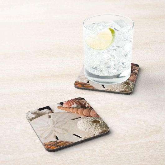 Detail der Muscheln aus aller Welt Getränkeuntersetzer (Rechte Seite)