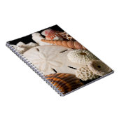 Detail der Muscheln aus aller Welt Notizblock (Rechte Seite)