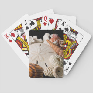 Detail der Muscheln aus aller Welt Spielkarten