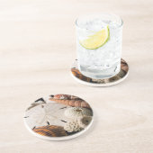 Detail der Muscheln aus aller Welt Untersetzer (Seite)