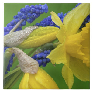Detail der Narzissen- und Hyazinthenblüten. Credit Fliese