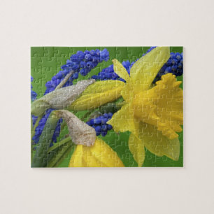 Detail der Narzissen- und Hyazinthenblüten. Credit Puzzle