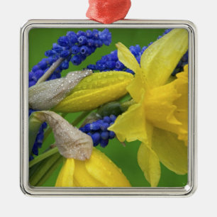 Detail der Narzissen- und Hyazinthenblüten. Credit Silbernes Ornament