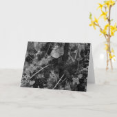 Detail der Trauben, Textilkaufmann Vineyard, Napa, Karte (Gelbe Blume)