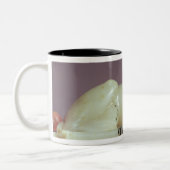 Detail des Deckels eines Unguentglases mit einer Zweifarbige Tasse (Links)