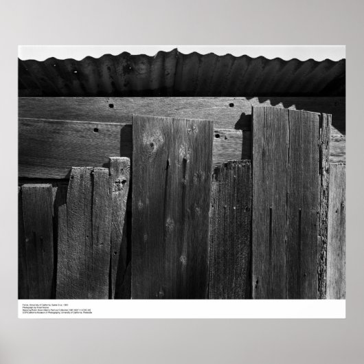Detail des Zauns, UC Santa Cruz, 1963 Poster (Vorne)