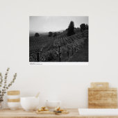 Detail, Draper Vineyards bei St. Helena, 1966 Poster (Küche)