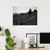 Detail, Draper Vineyards bei St. Helena, 1966 Poster (Heimbüro)