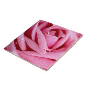 Detail einer Rose Fliese (Seite)