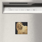 Detail eines Sarkophags aus Cadiz, 5.-4. Magnet (In Situ (Geschirrspüler))