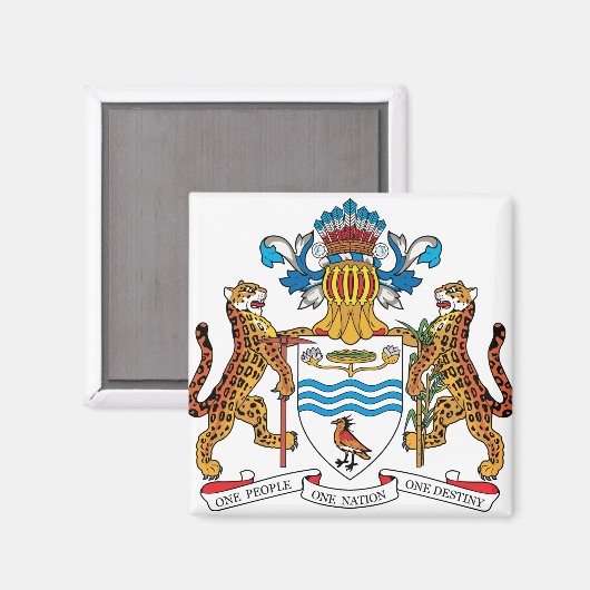 Detail Guyana-Wappen Magnet (Vorderseite/Rückseite)