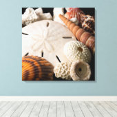 Detail Muscheln aus aller Welt 2 Leinwanddruck (Insitu (Holzboden))