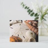 Detail Muscheln aus aller Welt Postkarte (Stehend Vorderseite)