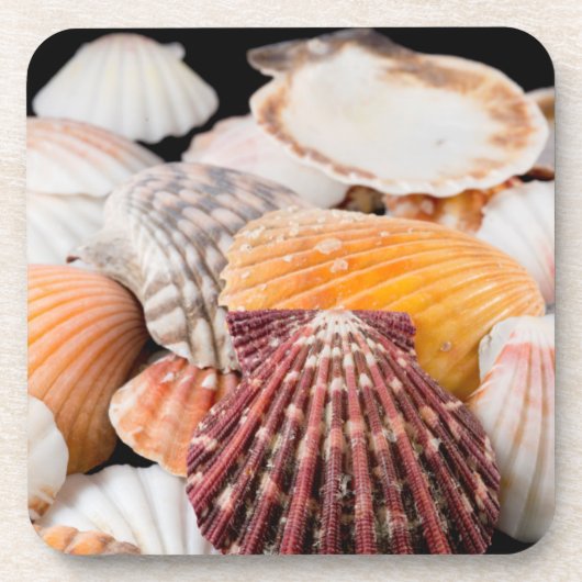 Detail Muscheln aus der ganzen Welt 2 Untersetzer (Vorderseite)