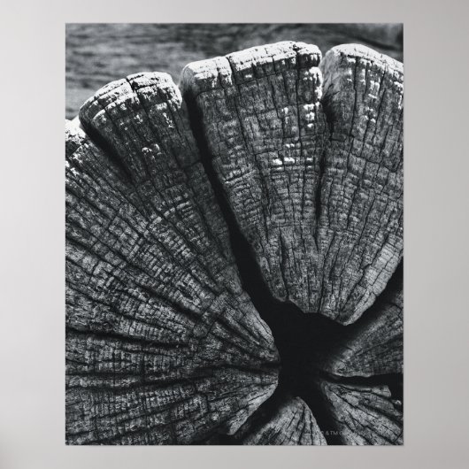 Detail Poster (Vorne)