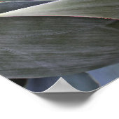 Detail verblichener Sukkulant, 2017 Poster (Ecke)