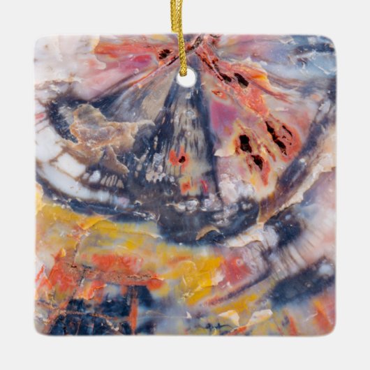 Detail versteinertes Holz, Arizona Keramikornament (Vorderseite)