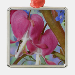 Detail von blutenden Herzen und Brunnera Jack Ornament Aus Metall