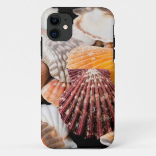 Detail von Muscheln aus aller Welt 2 Case-Mate iPhone Hülle