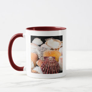 Detail von Muscheln aus aller Welt 2 Tasse