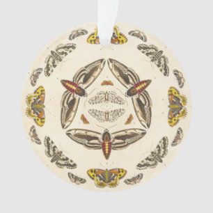 Detail von Platte V Ornament