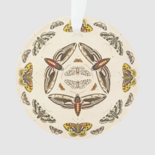 Detail von Platte V Ornament (Vorderseite)