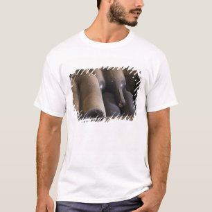 Detail von staubigen Flaschen auf Latten auf Holz T-Shirt