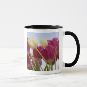 Detail von Tulpen. Bildnachweis: Don Paulson / Tasse
