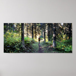 Detail Waterton Valley - Glacier National Park Poster