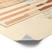 Detailed Geology Sheet XXIV Poster (Ecke)