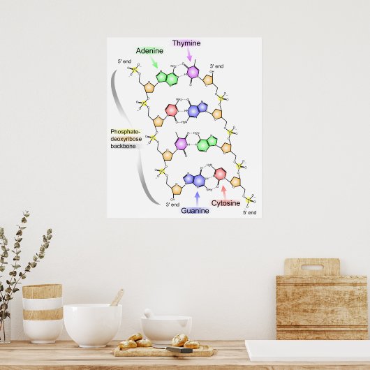 Detaillierte Abbildung der chemischen Struktur der Poster (Küche)