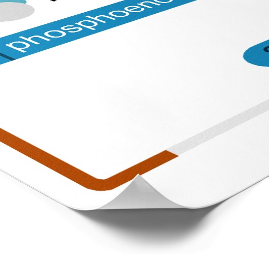 Detaillierte Abbildung der zellulären Atmung Poster (Ecke)