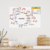 Detaillierte Abbildung des Zitronensäurezyklus Poster (Küche)