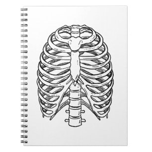 Detaillierte Anatomie des Brustkorbs, Linienkunst Notizblock