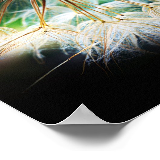 Detaillierte Blume-Fotografie nah Poster (Ecke)