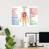 Detaillierte Darstellung der Symptome der zystisch Poster (Heimbüro)