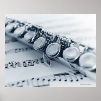 Detaillierte Flute Poster