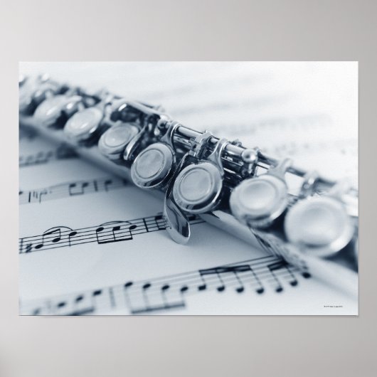 Detaillierte Flute Poster (Vorne)