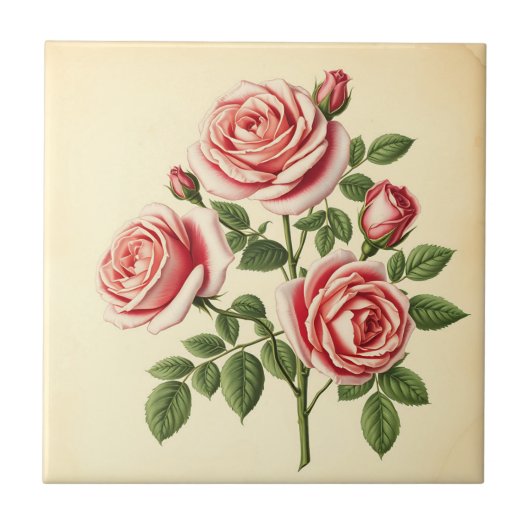 Detaillierte Rose zum Hintergrund ausgeblendetes P Fliese (Vorderseite)