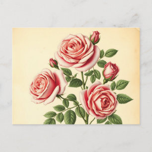Detaillierte Rose zum Hintergrund ausgeblendetes P Postkarte