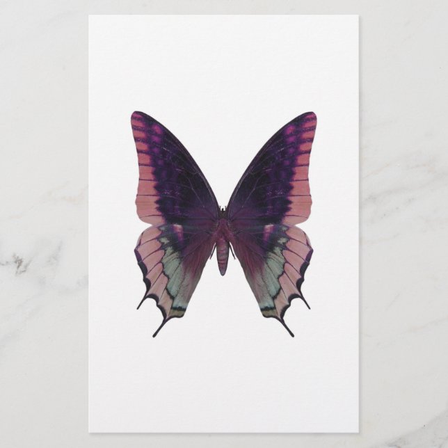 Detaillierte Schmetterlingsfarbe (Vorderseite)