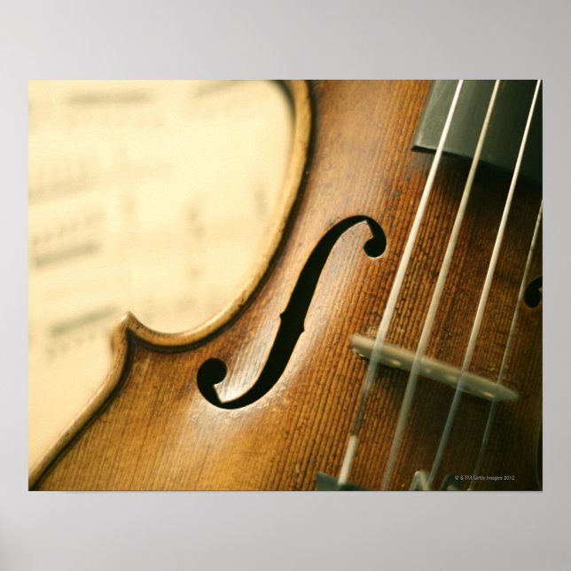 Detaillierte Violine Poster (Vorne)