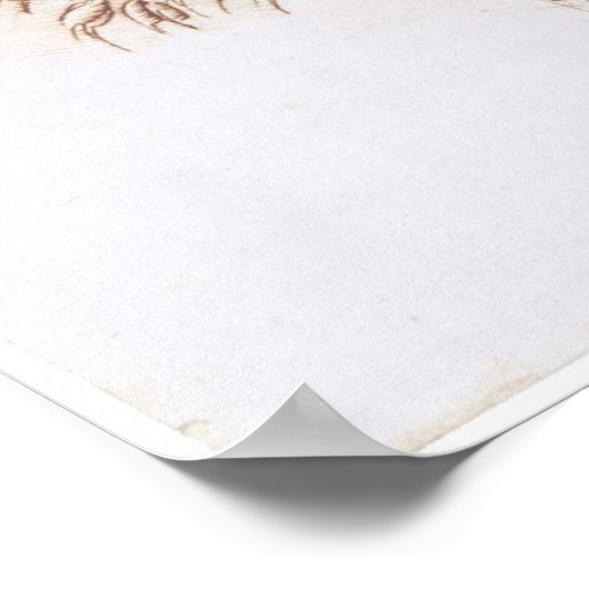 Detaillierte Zeichn der langgestampften Pflanze Da Poster (Ecke)