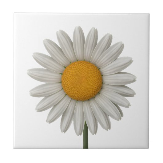 Detailliertes weißes Daisy botanisches Kunstdesign Fliese (Vorderseite)