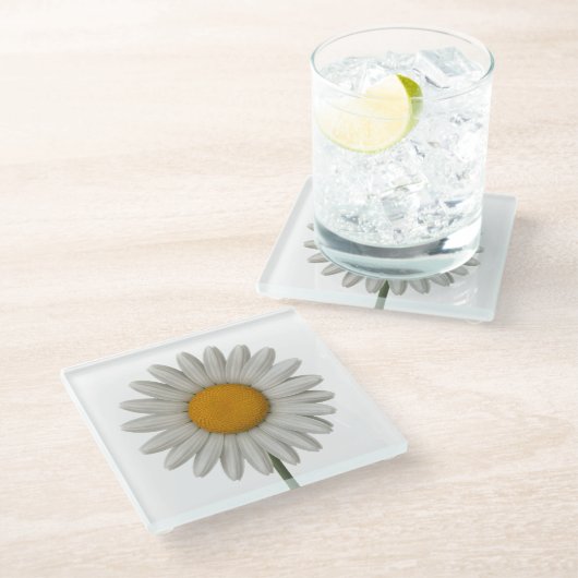 Detailliertes weißes Daisy botanisches Kunstdesign Glasuntersetzer (Schrägansicht)
