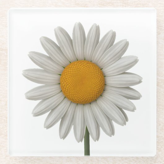 Detailliertes weißes Daisy botanisches Kunstdesign Glasuntersetzer (Vorderseite)